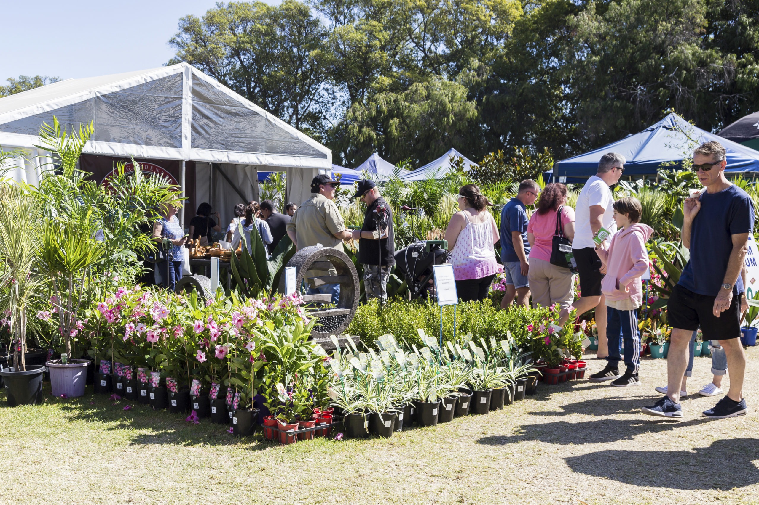 Home Page Perth Garden & Outdoor Living Festival