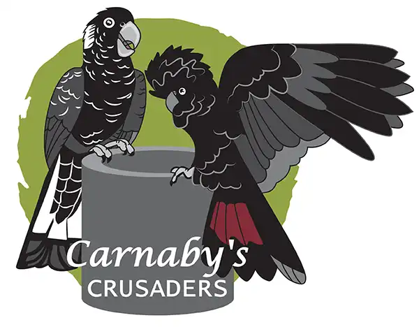 Carnaby’s Crusaders Logo